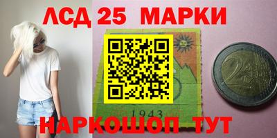 Альфа ПВП Пушкино
