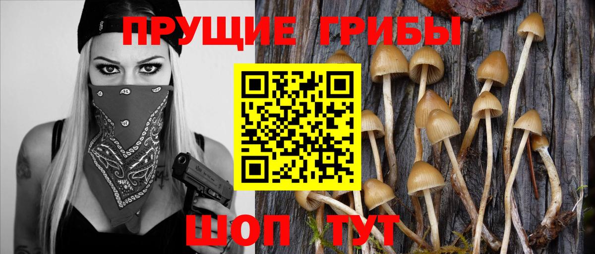 Codein Сальск